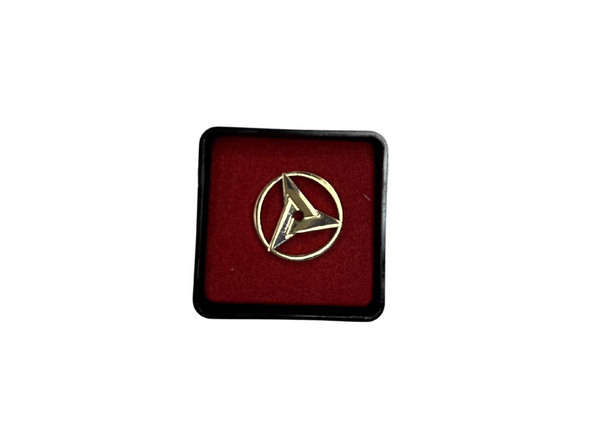 Broche Sany