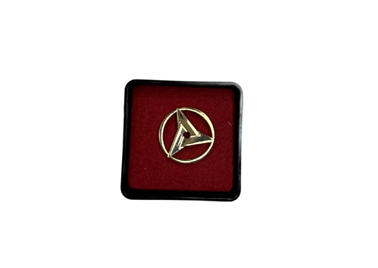 Broche Sany