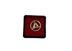 Broche Sany