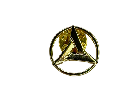 Broche Sany
